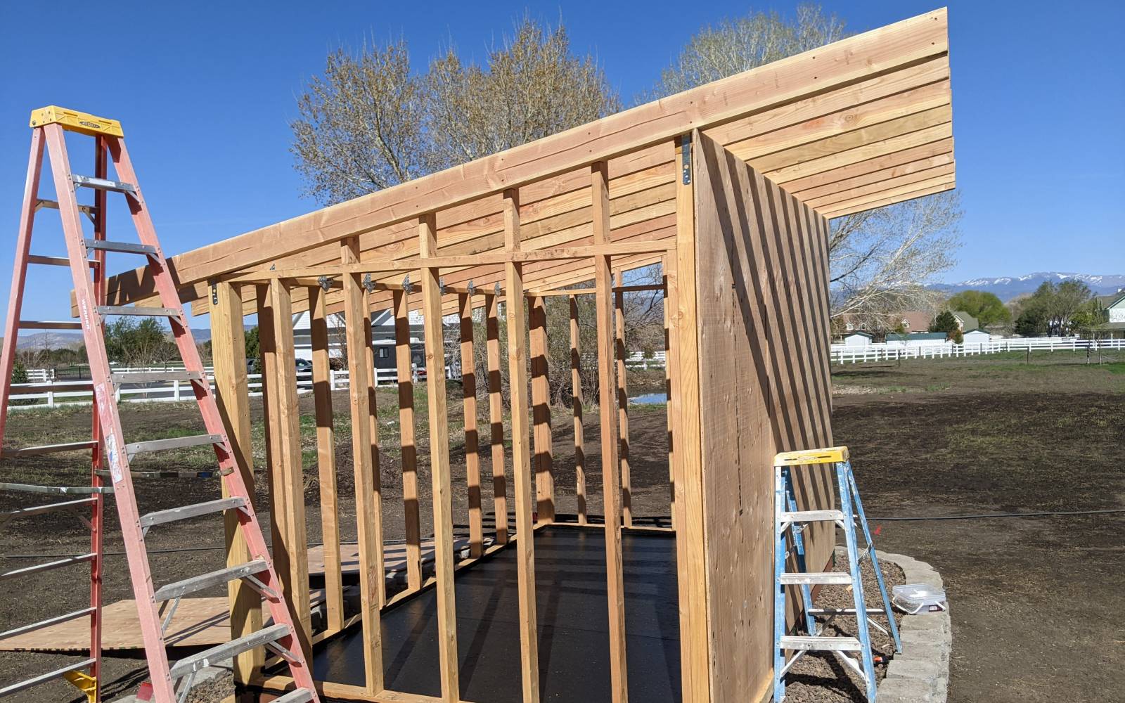Chicken coop and fenced run in dry country light